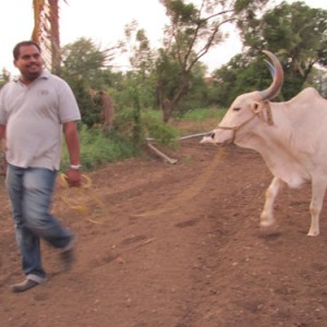Dr. Manilal and Roushya 2