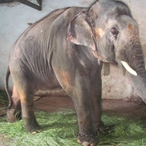 Sunder