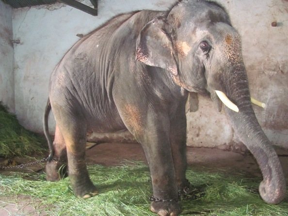 Sunder