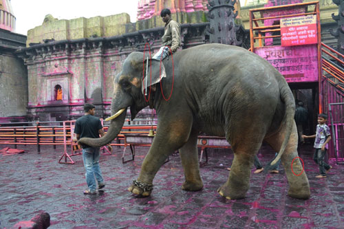 sunder with mahout