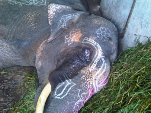 sunder's face