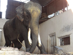 Ram Prasad Update Ram Prasad Update