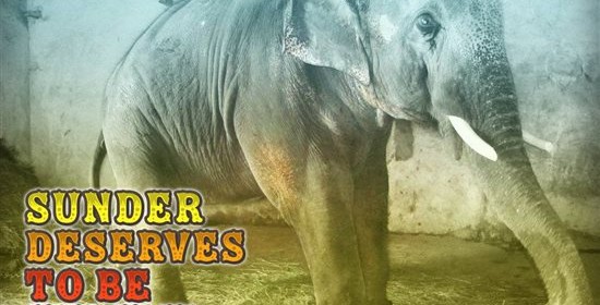 sunder1