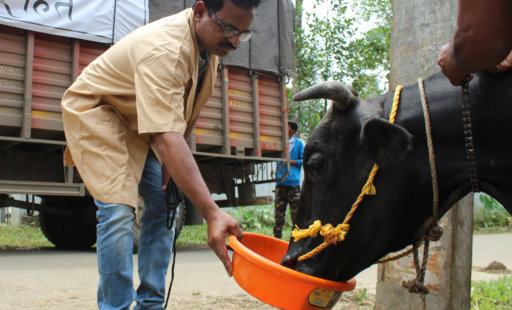 Video: A Look Back at Animal Rahat’s 15th Year of Relief and Compassion