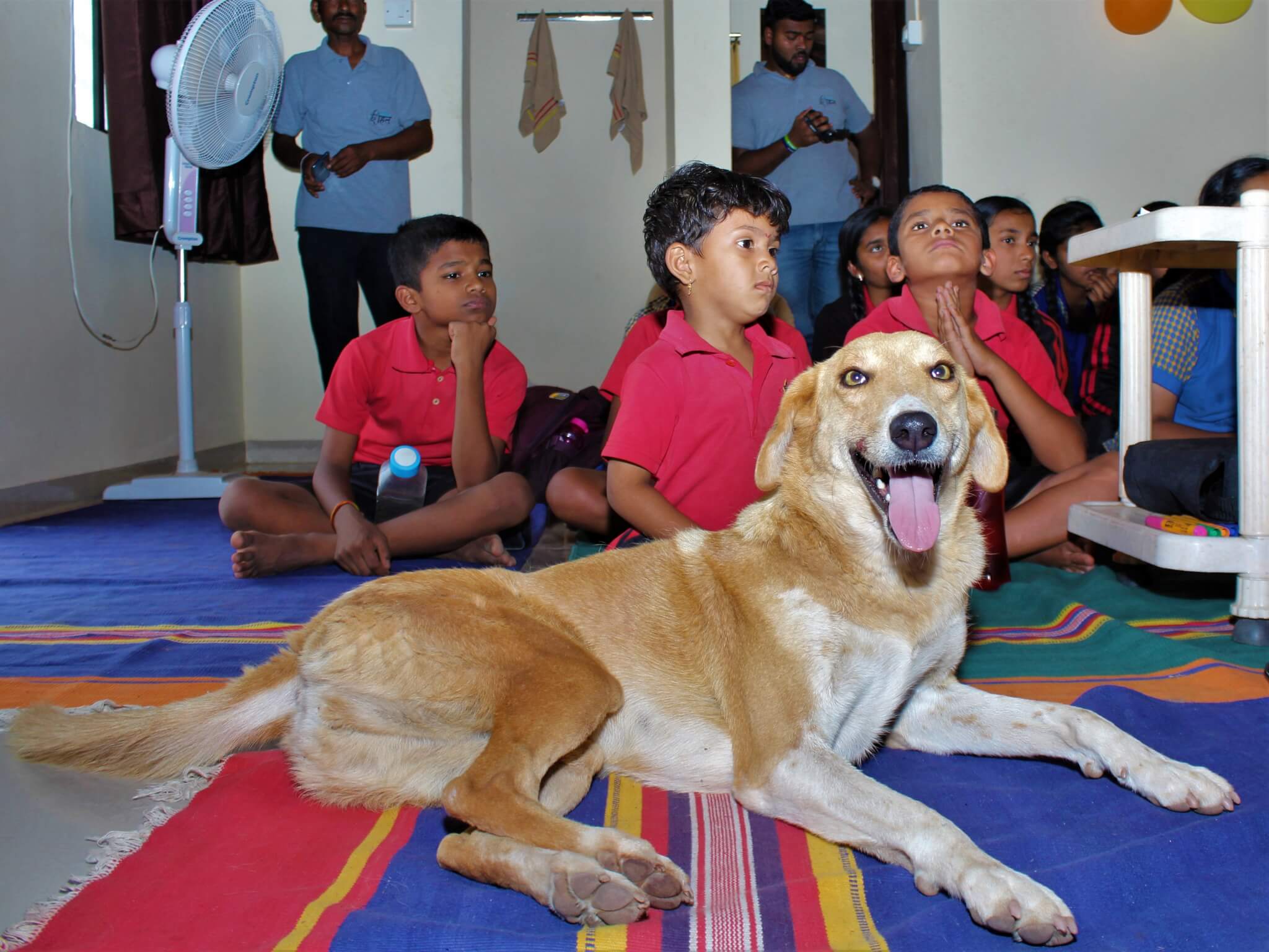 A dog smiles so wide that her tongue hangs out of her mouth as she lies on the classroom floor in front of a group of schoolchildren.