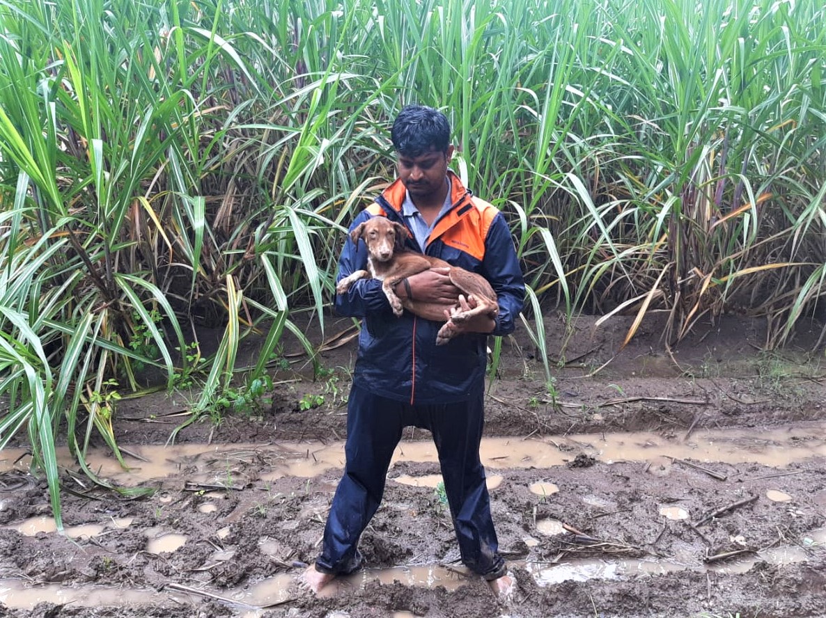 An Animal Rahat team member stands in a muddy field holding the small dog he rescued from encroaching floodwater.