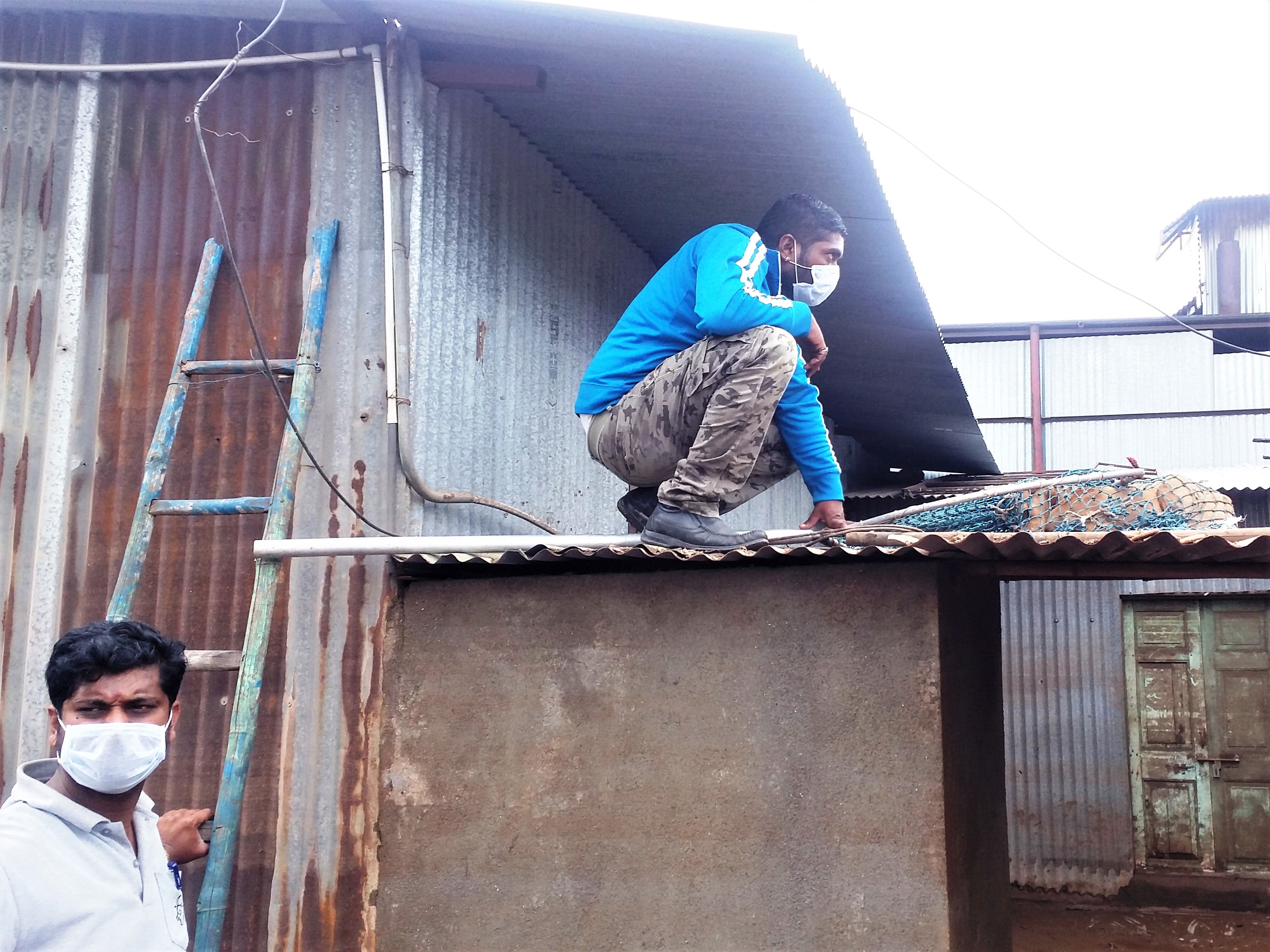 An Animal Rahat staff member who just rescued a dog crouches on a rooftop holding a net. Nearby, another staff member waits holding a ladder.