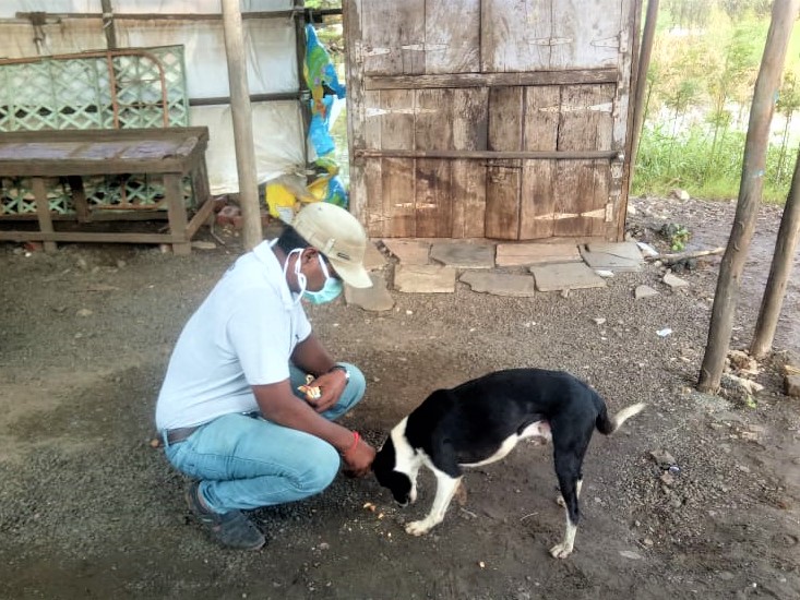 An Animal Rahat team member hand-feeds a dog.