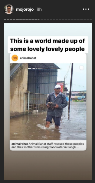 This is a screenshot of an Instagram story from Rohan Joshi (@mojorojo) sharing Animal Rahat's post about flood-rescue efforts with the caption "This is a world made up of some lovely lovely people."