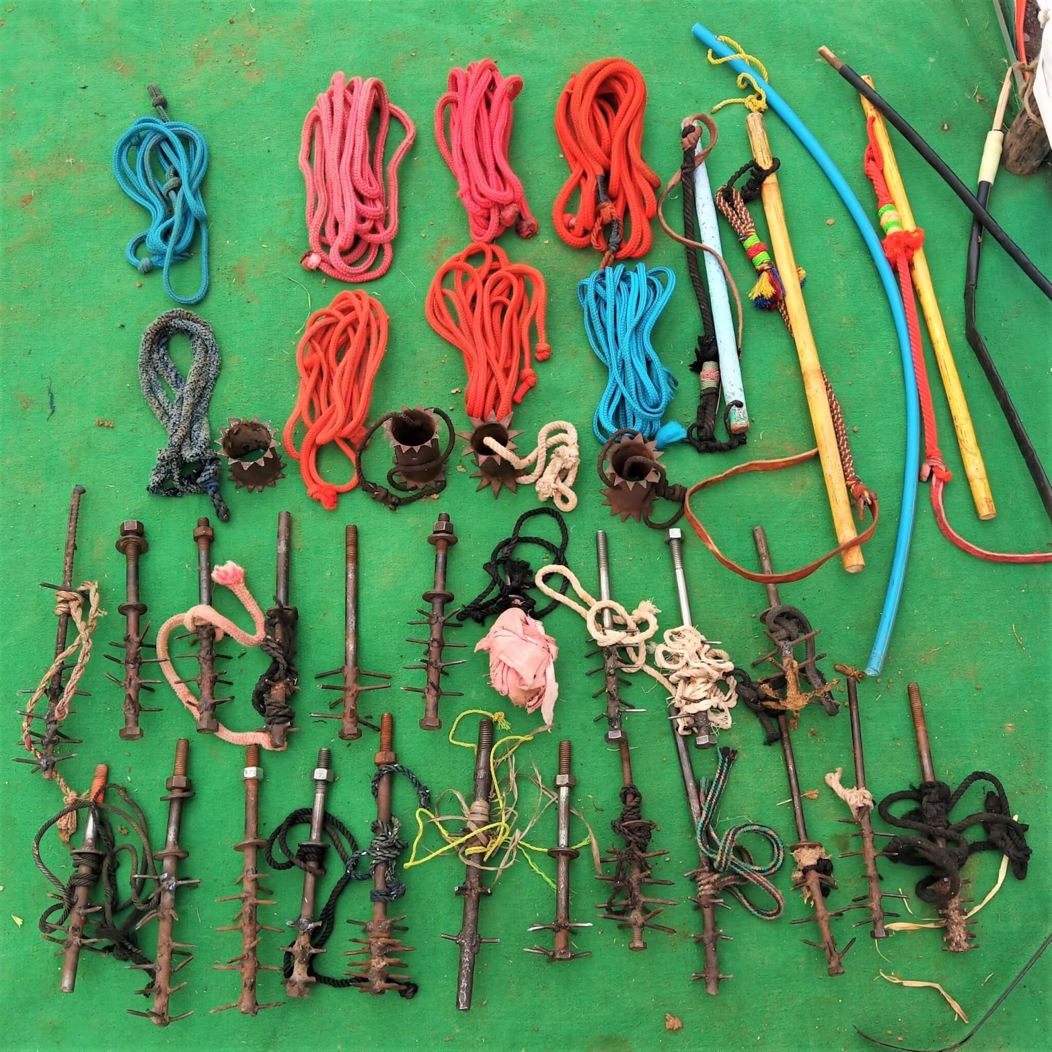 An assortment of confiscated whips, yoke spikes, and nose ropes lies on a blanket.