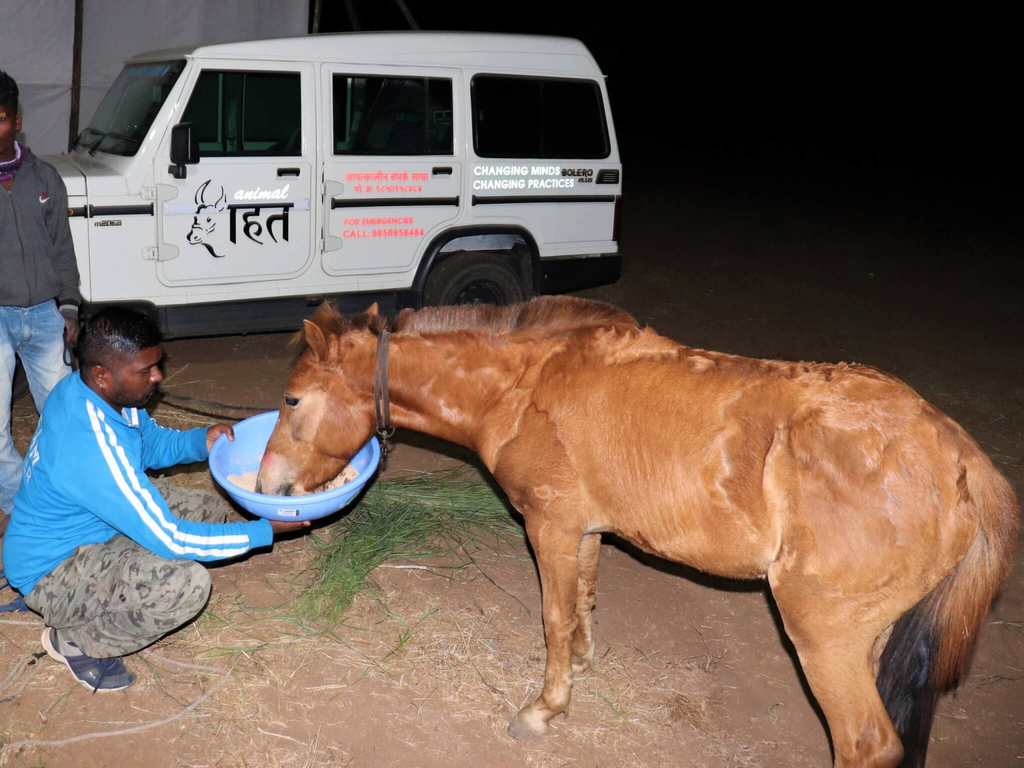 A pony eats from a bowl held by an Animal Rahat team member.