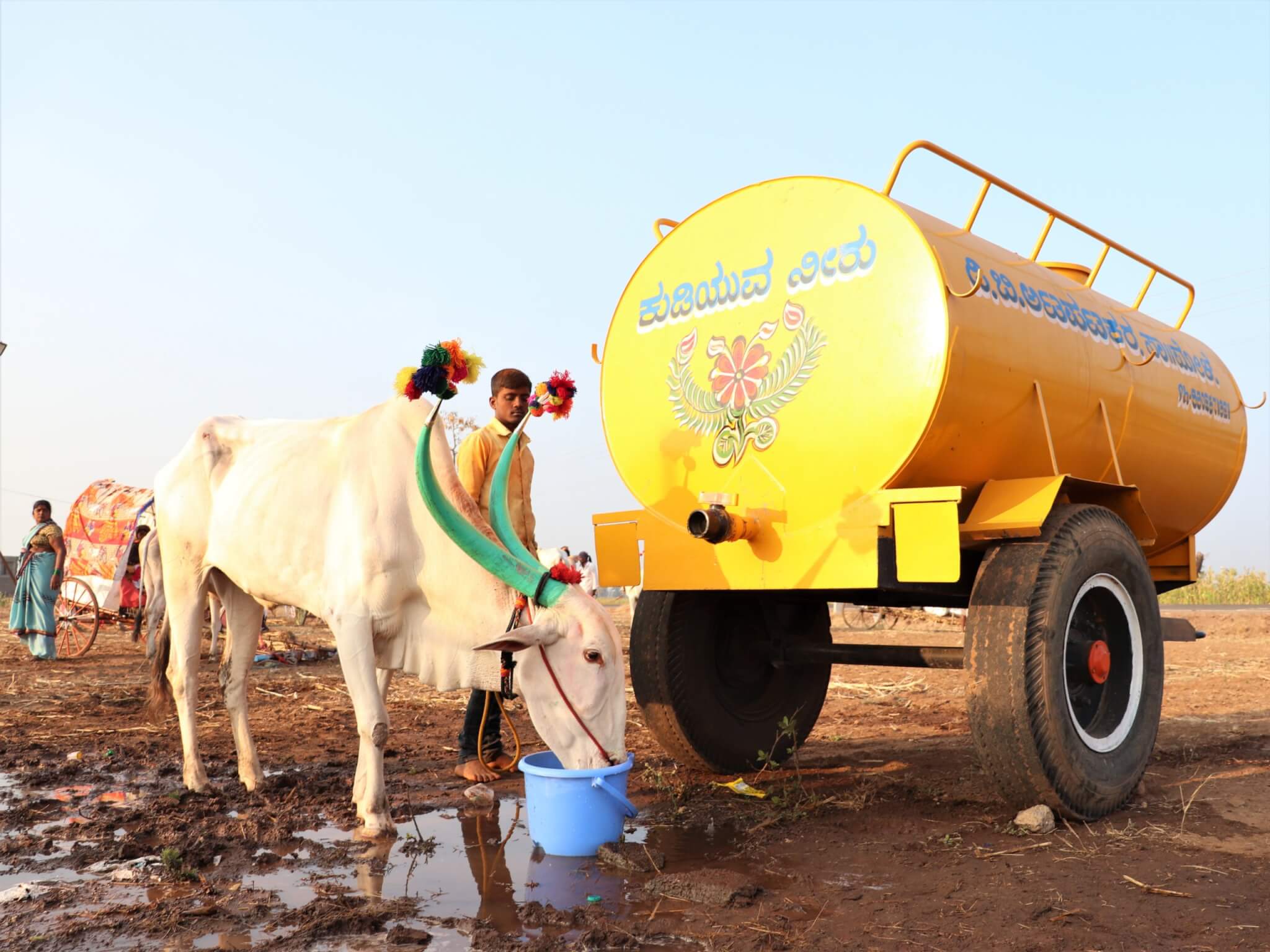 A bullock drinks fresh water from a bucket in front of a yellow water tank.