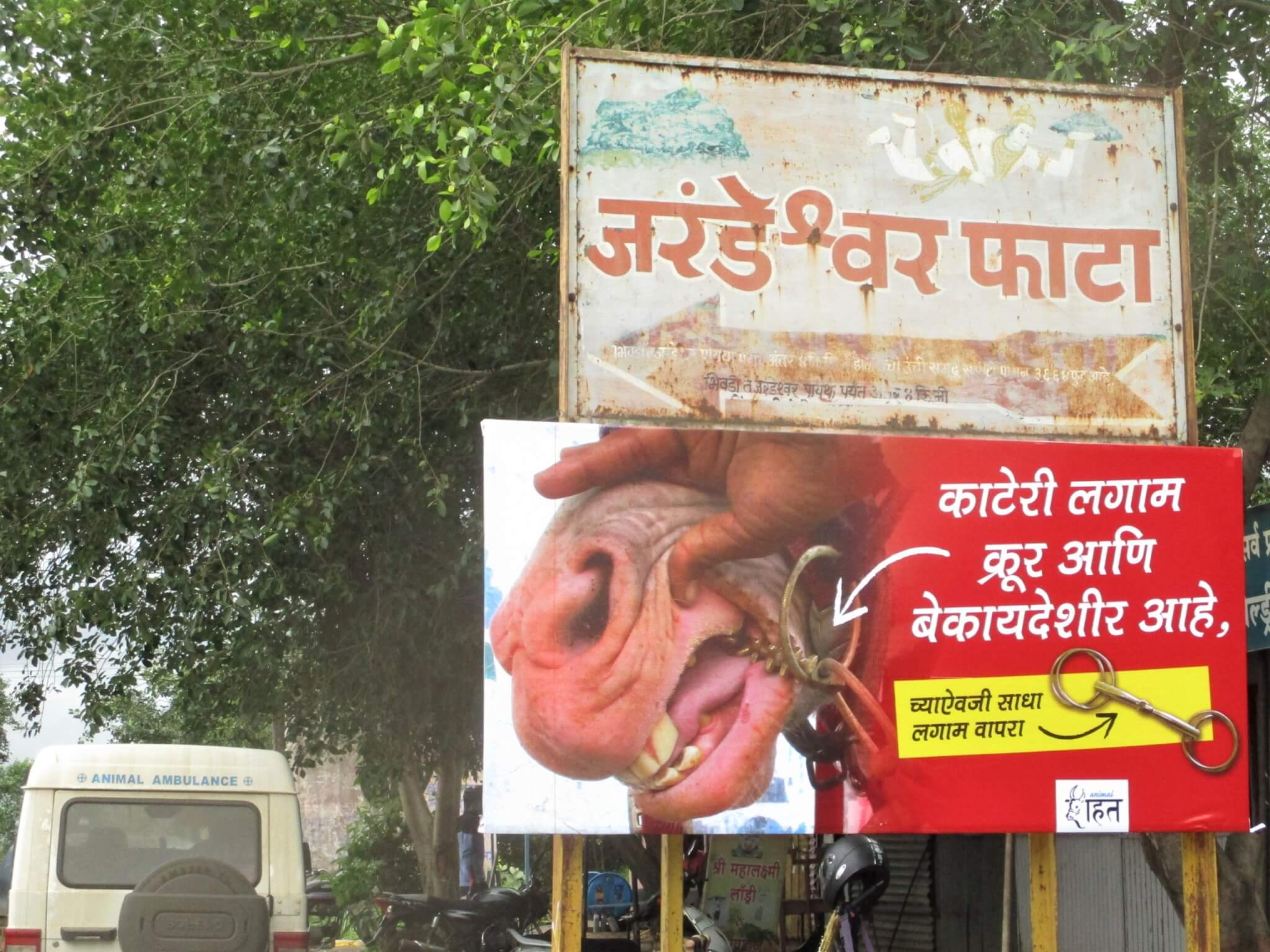 A billboard in Maharashtra condemns the use of spiked bits.