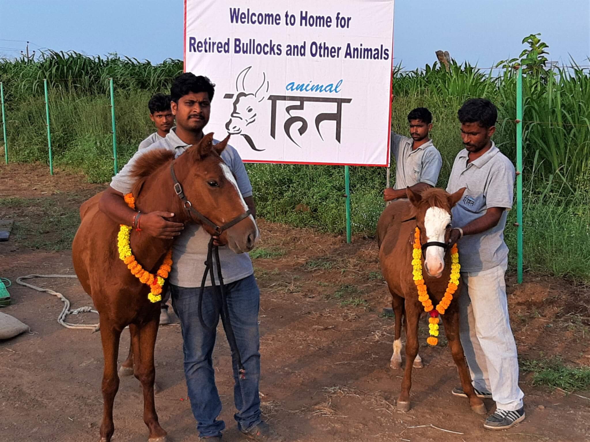 Sangeeta and her foal stand with Animal Rahat staff in front of the sanctuary's welcome sign.