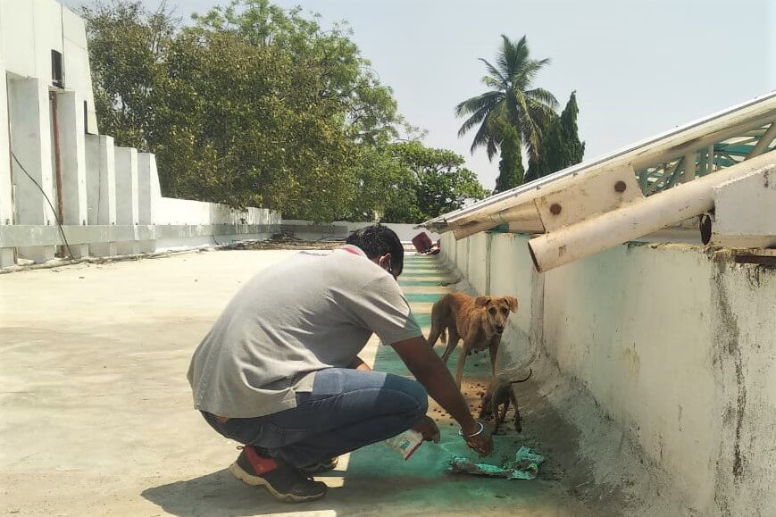 An Animal Rahat staff member provides a mother dog and her tiny pup with food.