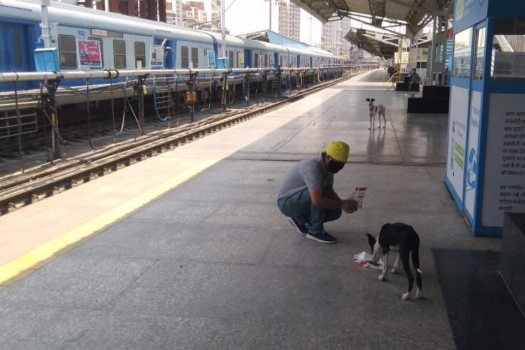 An Animal Rahat staff member wearing a protective mask helps a hungry "railway dog" in an empty train station.