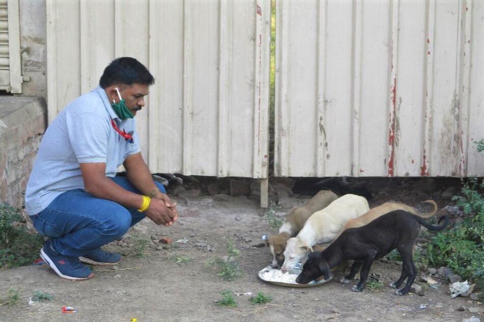 An Animal Rahat staff member stands guard as these dear puppies share the meal that he provided.