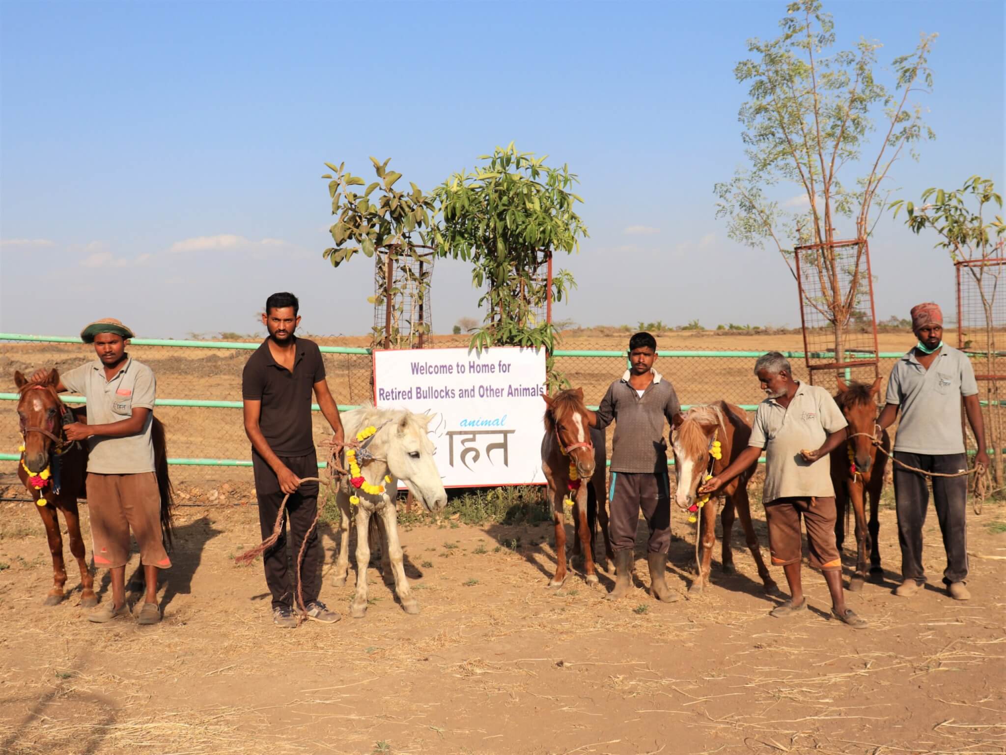 The five rescued ponies stand with staff and a sign welcoming them to Animal Rahat's sanctuary.