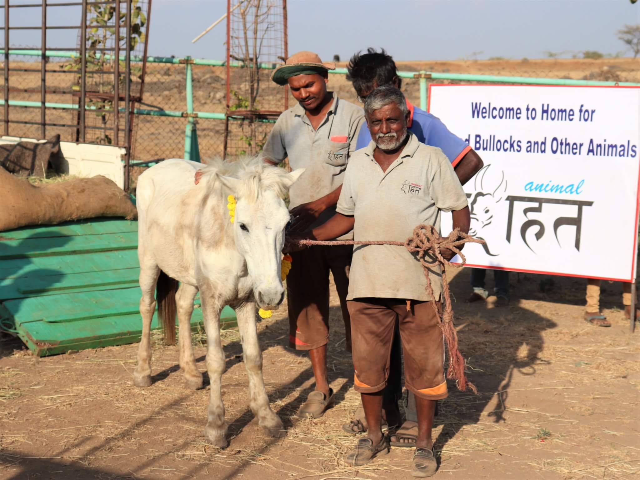 Staff pose with rescued pony Balumama in front of the sanctuary's welcome sign.