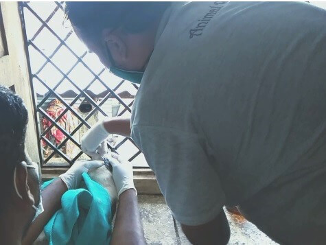 Animal Rahat staff members work to release a sedated Gatik from the window grate.