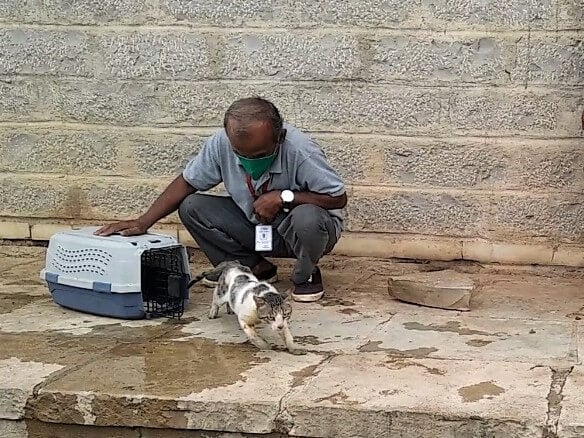 Gatik is released near where he was found, grateful to be free and back home.