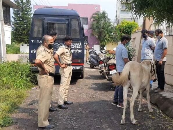 Local police and Animal Rahat staff gather around the abused pony.