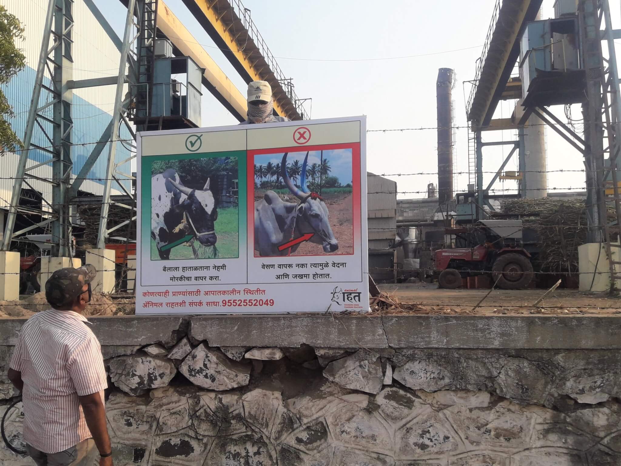 Animal Rahat’s signs are displayed at sugar factories, informing bullock owners about the use of illegal devices and proper care.