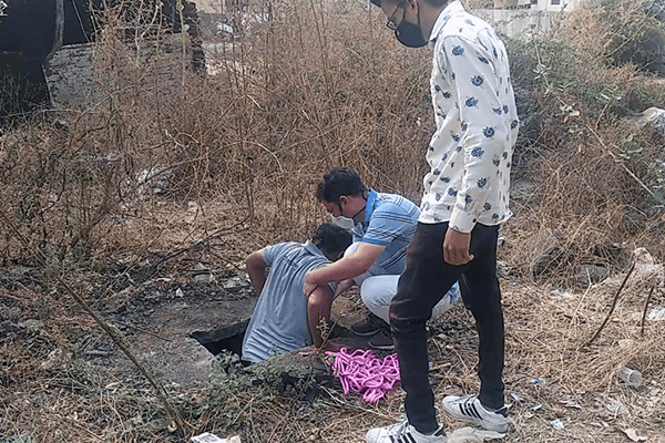 An Animal Rahat rescue worker lowers himself into the tank with the donkey with the help of his coworkers.