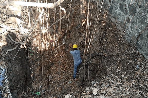 An experienced climber on Animal Rahat’s staff slowly climbs down to the bottom of the well using the trees and vines to lower himself safely.