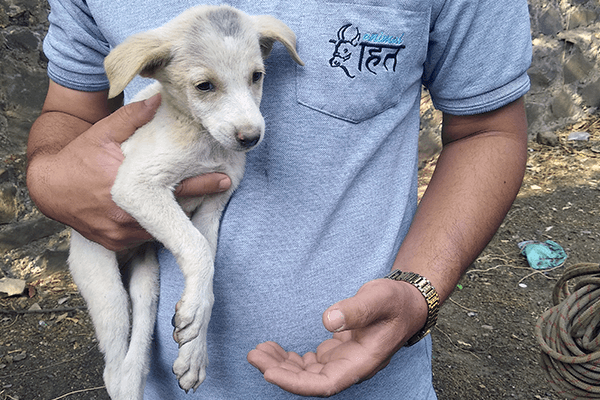 Animal Rahat’s staff member holds Vasur after he was pulled up from the well.