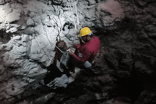 A rescue worker for Animal Rahat rappels down a deep well in the dark to rescue two Indian rat snakes.