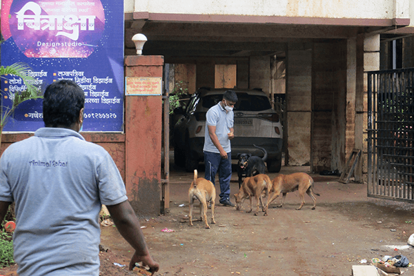 Animal Rahat’s team fed dogs in the Raigad district after flooding and evacuations cut off their food supply.