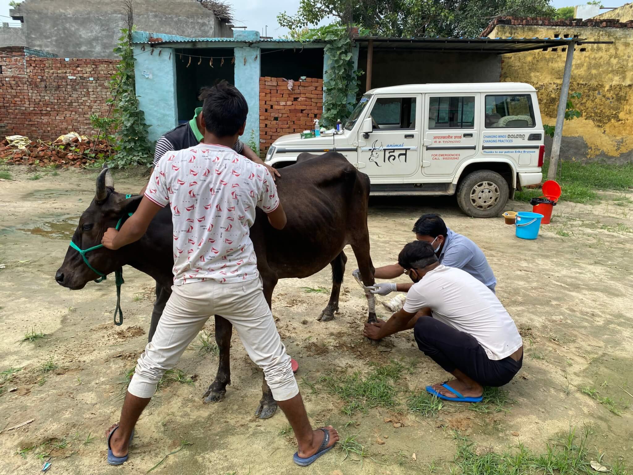 Ganga likely had an unfortunate tussle with barbed wire fencing that left painful, open wounds on her legs.