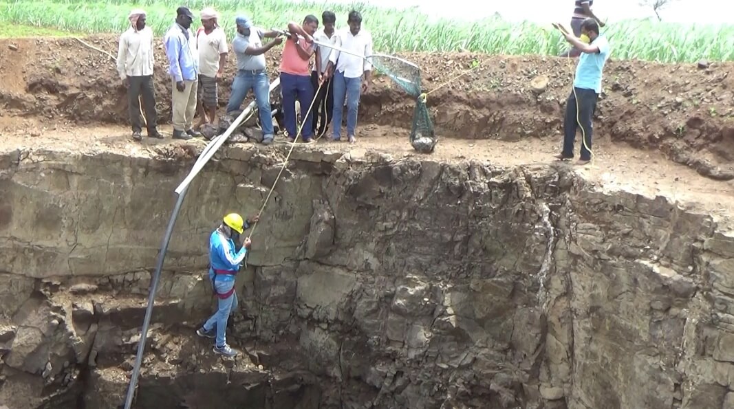 Animal Rahat’s rescue team works together to pull their team member and the jackal out of the well.