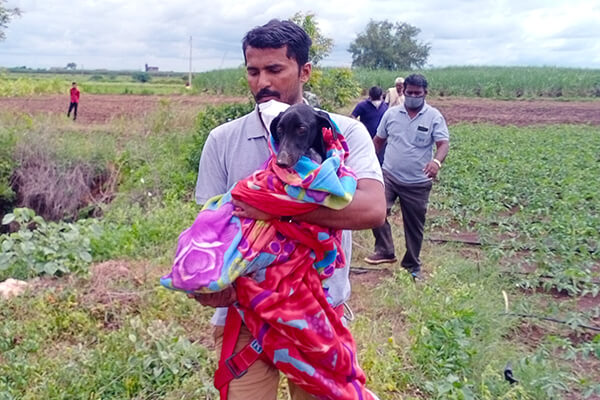 After emerging from the well, Animal Rahat’s rescue worker carries the dog away from the opening.