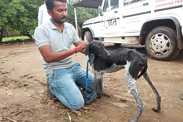 One of John’s rescuers bids him an affectionate farewell before giving him to his new family.