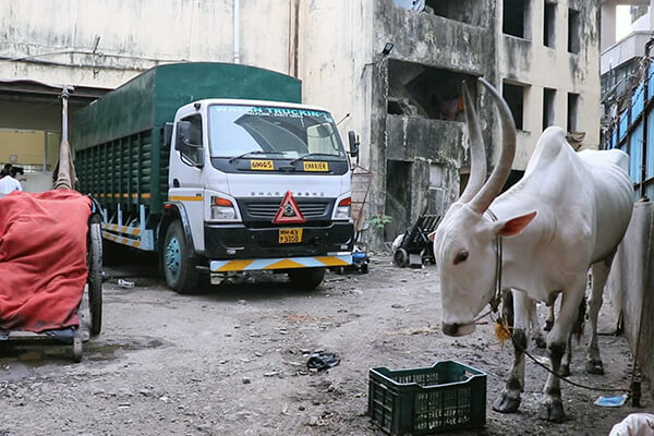 Forced to haul tons of ice, Raju’s quality of life was poor.