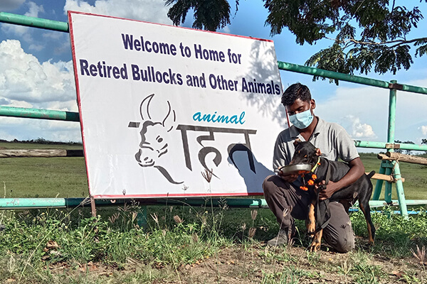 Romi is welcomed to the sanctuary