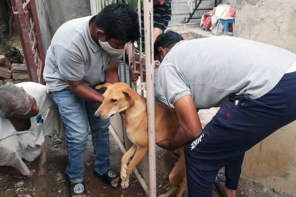 Animal Rahat’s rescue team works together to free the dog.