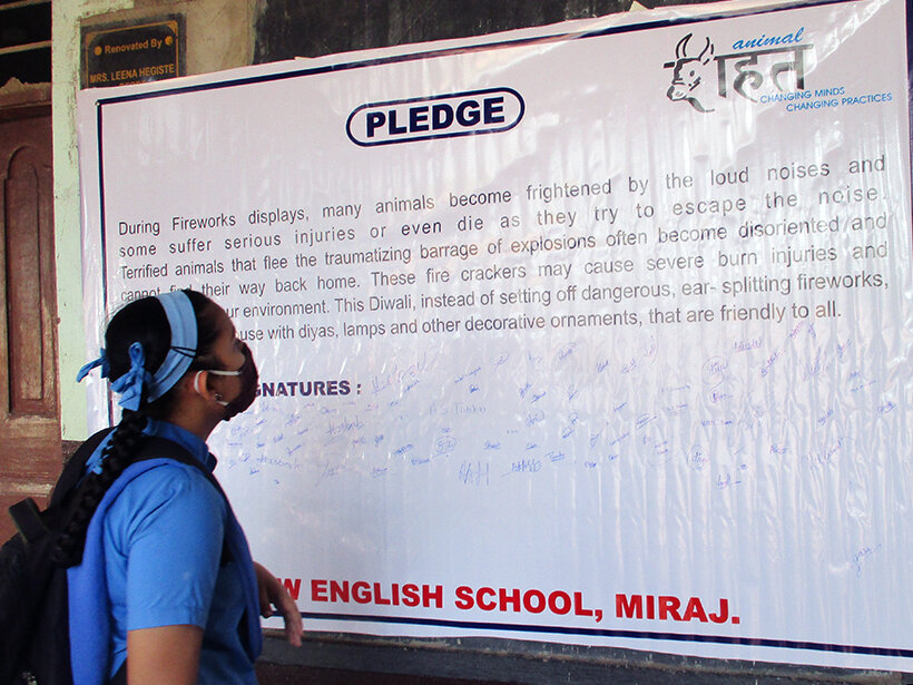 Children pledge to be kind to animals.