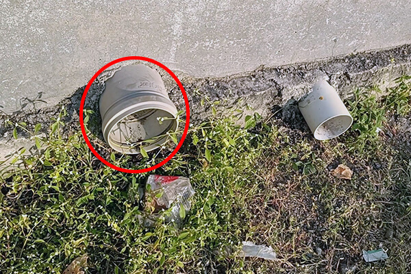 A puppy entered through the larger pipe, but he couldn’t get back out.