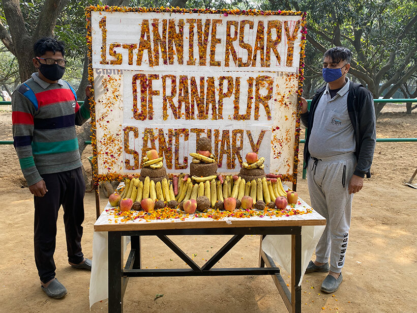 Animal Rahat’s sanctuary outside Delhi