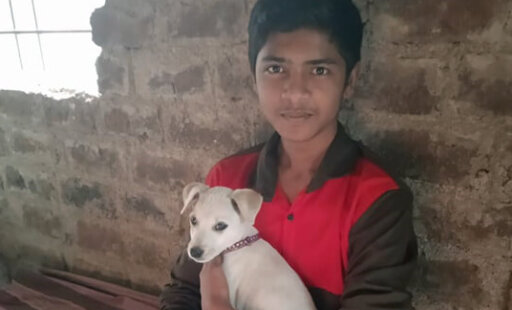 Puppy Left to Die Is Rescued by a Compassionate Child