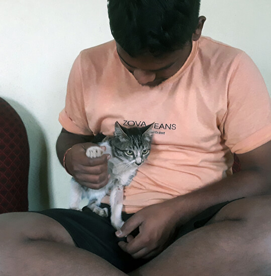 The kitten now happily lives with his new family and is kept safely indoors.