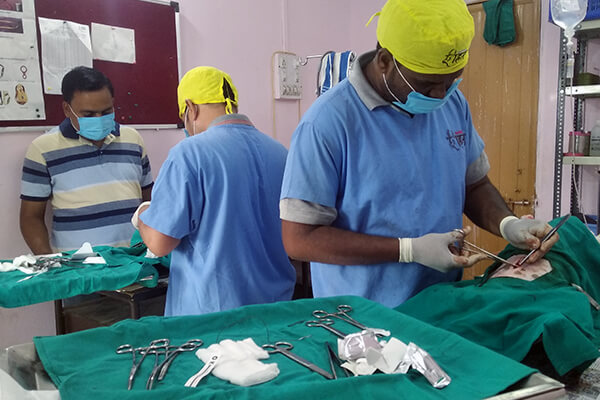 Animal Rahat veterinarians sterilize village dogs.