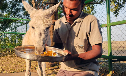 Meet the New Sultan of Sangli