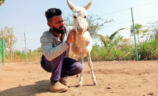 WATCH: ‘Working Wonders for Working Donkeys!’