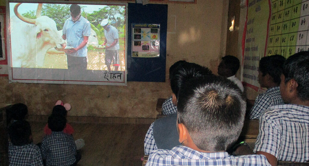 This image shows children in a classroom watching the Animal Rahat video “A Bull’s Life.”
