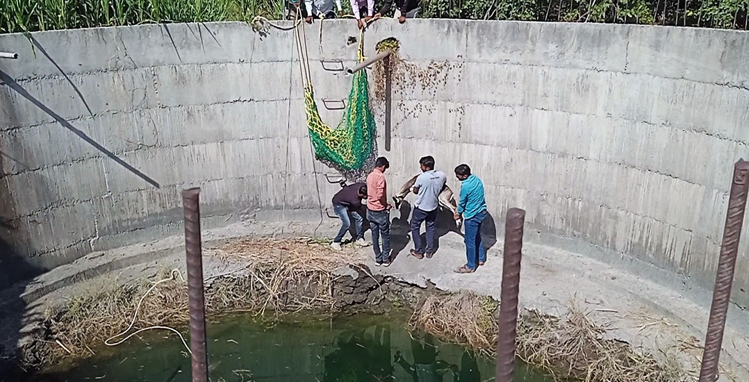 The team climbed into the well to help the trapped animal.