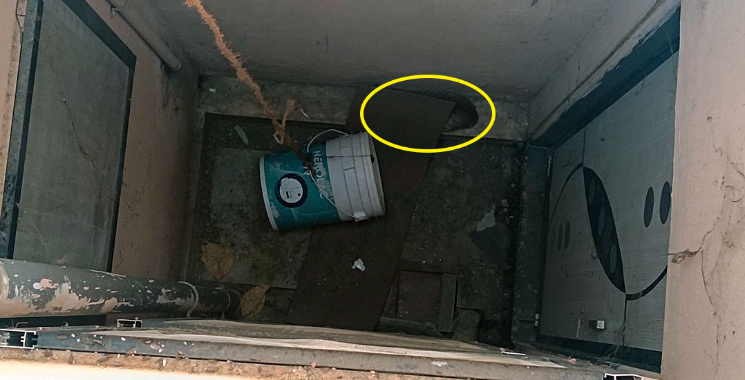 This image shows a cat stuck at the bottom of the duct, too scared to go into the bucket.